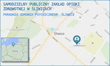 PORADNIA ZDROWIA PSYCHICZNEGO - SAMODZIELNY PUBLICZNY ZAKŁAD OPIEKI ZDROWOTNEJ W ŚLIWICACH - SZKOLNA 7,  ŚLIWICE