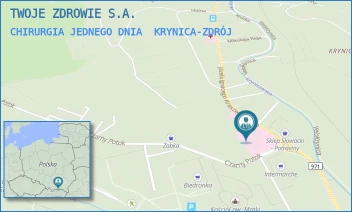 CHIRURGIA JEDNEGO DNIA - TWOJE ZDROWIE S.A. - UL. JÓZEFA IGNACEGO KRASZEWSKIEGO 142,  KRYNICA-ZDRÓJ
