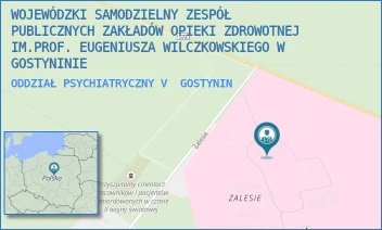 ODDZIAŁ PSYCHIATRYCZNY V - WOJEWÓDZKI SAMODZIELNY ZESPÓŁ PUBLICZNYCH ZAKŁADÓW OPIEKI ZDROWOTNEJ IM.PROF. EUGENIUSZA WILCZKOWSKIEGO W GOSTYNINIE - ZALESIE 1,  GOSTYNIN