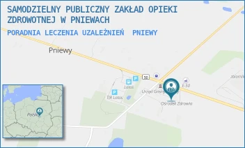 PORADNIA LECZENIA UZALEŻNIEŃ - SAMODZIELNY PUBLICZNY ZAKŁAD OPIEKI ZDROWOTNEJ W PNIEWACH - 2A,  PNIEWY