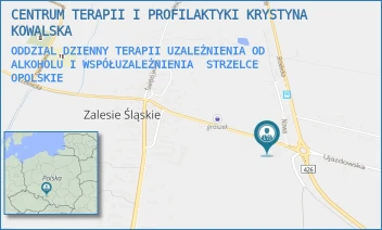 ODDZIAŁ DZIENNY TERAPII UZALEŻNIENIA OD ALKOHOLU I WSPÓŁUZALEŻNIENIA - CENTRUM TERAPII I PROFILAKTYKI KRYSTYNA KOWALSKA - UL. STRAŻACKA 10,  STRZELCE OPOLSKIE