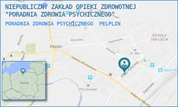 PORADNIA ZDROWIA PSYCHICZNEGO - NIEPUBLICZNY ZAKŁAD OPIEKI ZDROWOTNEJ "PORADNIA ZDROWIA PSYCHICZNEGO" - UL. WYBICKIEGO 14,  PELPLIN