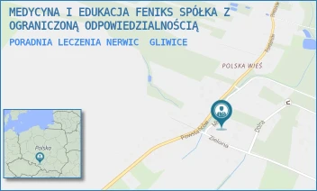 PORADNIA LECZENIA NERWIC - MEDYCYNA I EDUKACJA FENIKS SPÓŁKA Z OGRANICZONĄ ODPOWIEDZIALNOŚCIĄ - UL. MŁYŃSKA 8,  GLIWICE