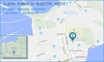 DZIENNY ODDZIAŁ ODWYKOWY - ŚLĄSKA FUNDACJA BŁĘKITNY KRZYŻ - UL. NAD BIAŁKĄ 1B, CZECHOWICE-DZIEDZICE