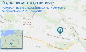 PORADNIA TERAPII UZALEŻNIENIA OD ALKOHOLU I WSPÓŁUZALEŻNIENIA - ŚLĄSKA FUNDACJA BŁĘKITNY KRZYŻ - UL. IGNACEGO PADEREWSKIEGO 3, PSZCZYNA