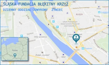 DZIENNY ODDZIAŁ ODWYKOWY - ŚLĄSKA FUNDACJA BŁĘKITNY KRZYŻ - UL. ALEJA LEGIONÓW 1, ŻYWIEC