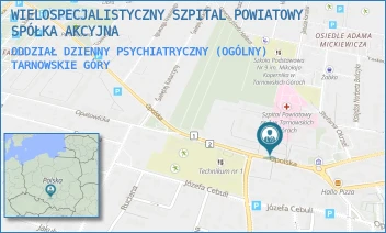 ODDZIAŁ DZIENNY PSYCHIATRYCZNY (OGÓLNY) - WIELOSPECJALISTYCZNY SZPITAL POWIATOWY SPÓŁKA AKCYJNA - UL. OPOLSKA 21,  TARNOWSKIE GÓRY