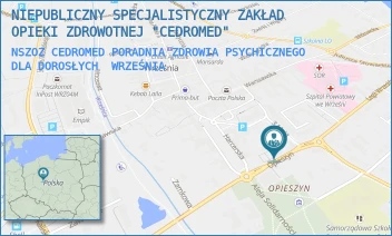 NSZOZ CEDROMED PORADNIA ZDROWIA PSYCHICZNEGO DLA DOROSŁYCH - NIEPUBLICZNY SPECJALISTYCZNY ZAKŁAD OPIEKI ZDROWOTNEJ "CEDROMED" - OPIESZYN 10,  WRZEŚNIA