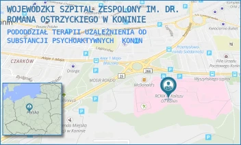 PODODDZIAŁ TERAPII UZALEŻNIENIA OD SUBSTANCJI PSYCHOAKTYWNYCH - WOJEWÓDZKI SZPITAL ZESPOLONY IM. DR. ROMANA OSTRZYCKIEGO W KONINIE - KARDYNAŁA S. WYSZYŃSKIEGO 1,  KONIN